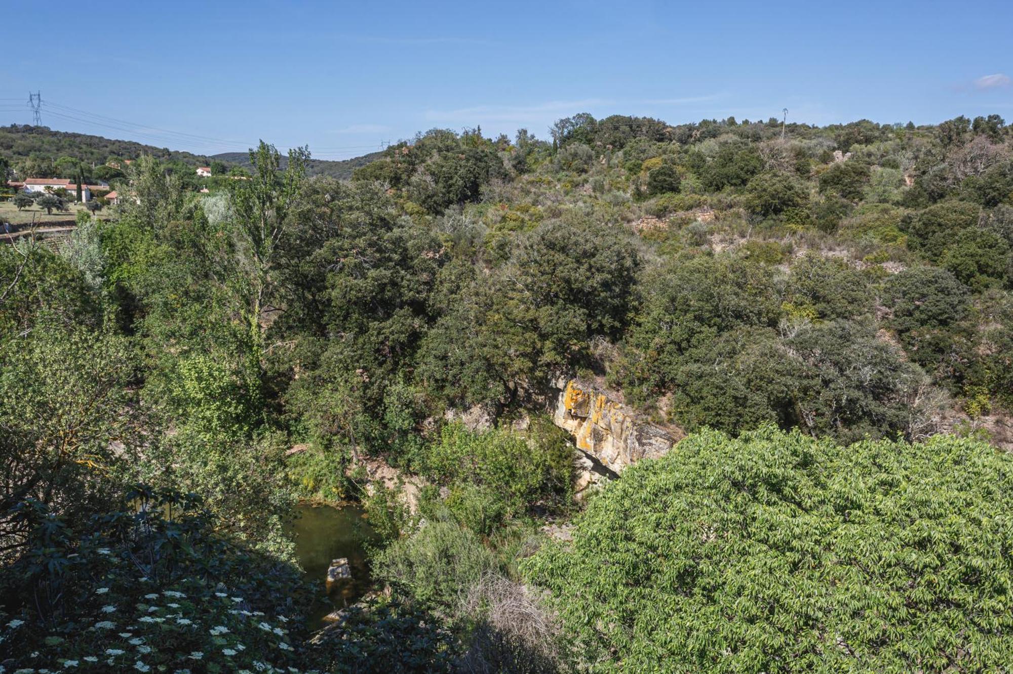 Cosy Apartment In Ancient Gabian With River And Vineyard Views Esterno foto